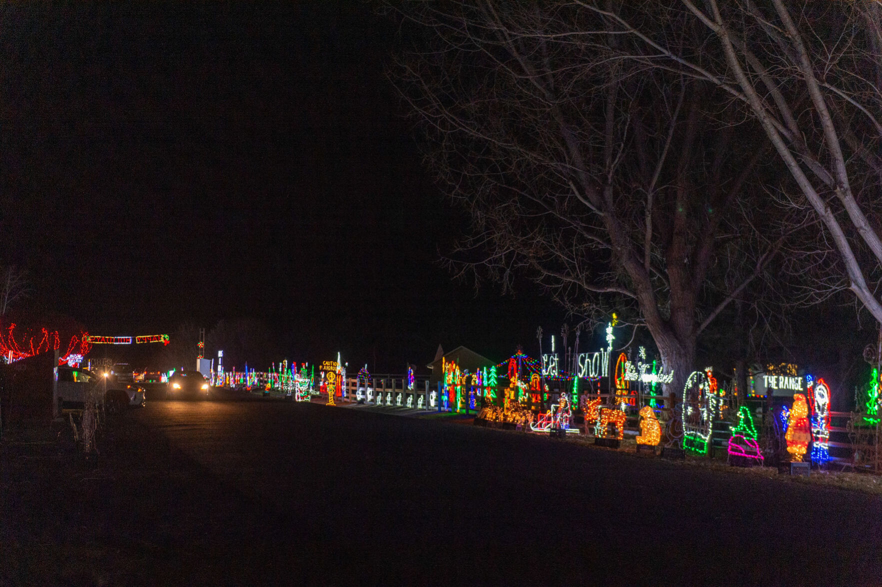 Holiday lights